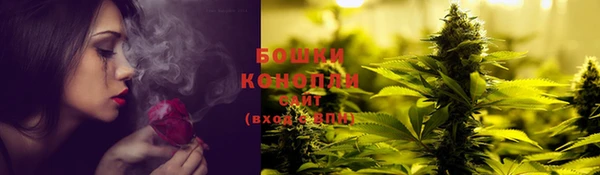 a pvp Бородино