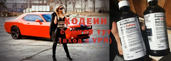 a pvp Бородино