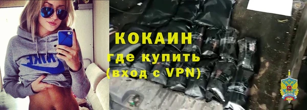 a pvp Бородино