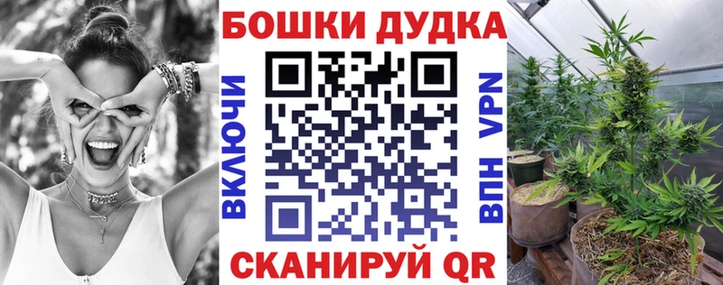 Бошки Шишки семена  Тбилисская 